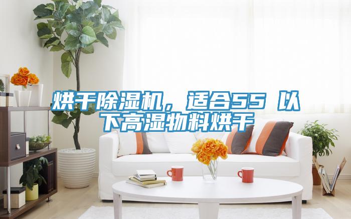 烘干除濕機(jī)，適合55℃以下高濕物料烘干