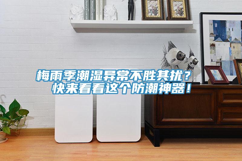 梅雨季潮濕異常不勝其擾？ 快來看看這個防潮神器！