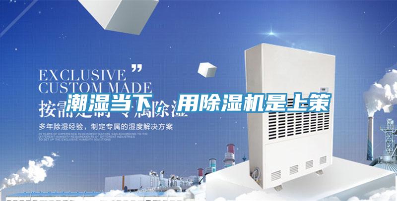 潮濕當(dāng)下，用除濕機(jī)是上策