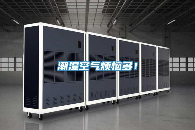 潮濕空氣煩惱多！