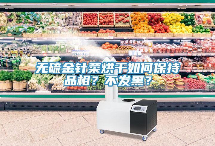 無硫金針菜烘干如何保持品相？不發(fā)黑？