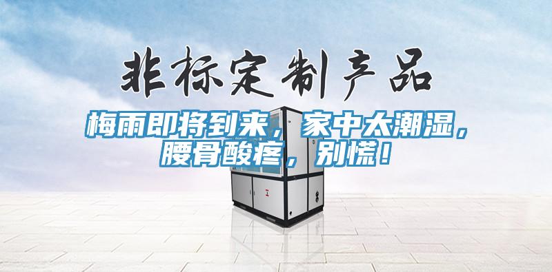 梅雨即將到來，家中太潮濕，腰骨酸疼，別慌！