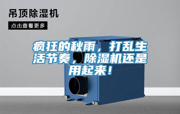 瘋狂的秋雨，打亂生活節(jié)奏，除濕機還是用起來！