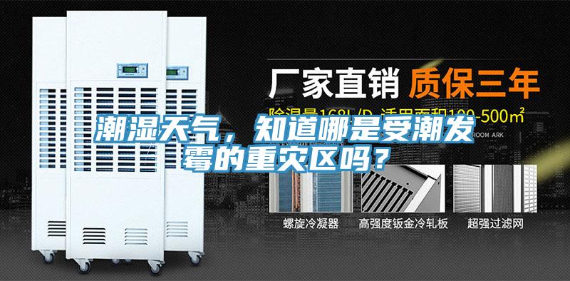 潮濕天氣，知道哪是受潮發(fā)霉的重災(zāi)區(qū)嗎？