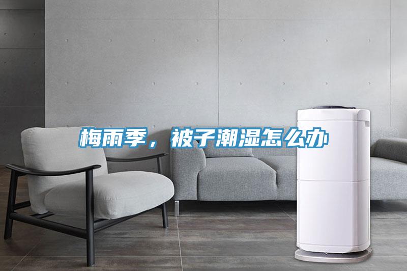 梅雨季，被子潮濕怎么辦