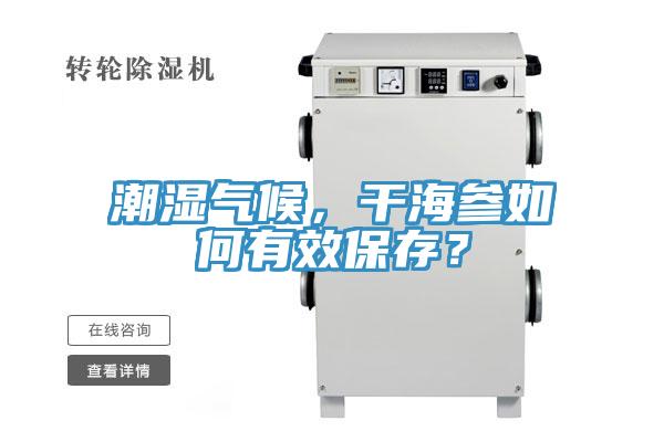 潮濕氣候，干海參如何有效保存？