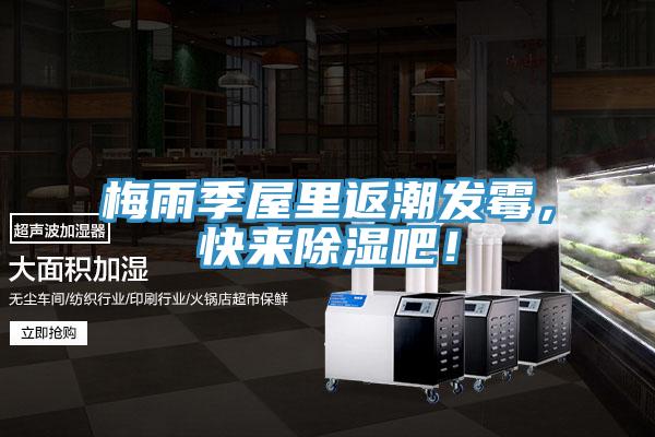 梅雨季屋里返潮發(fā)霉，快來(lái)除濕吧！