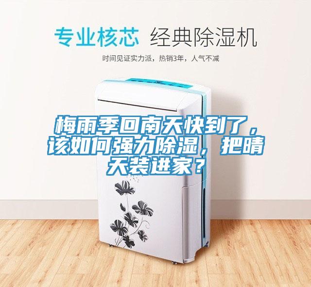 梅雨季回南天快到了，該如何強力除濕，把晴天裝進家？