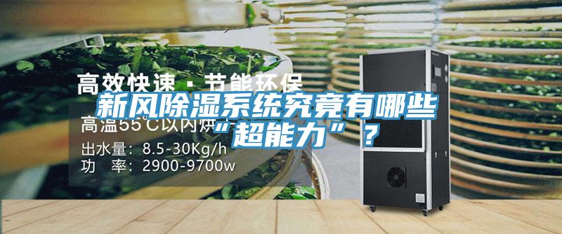 新風(fēng)除濕系統(tǒng)究竟有哪些“超能力”？