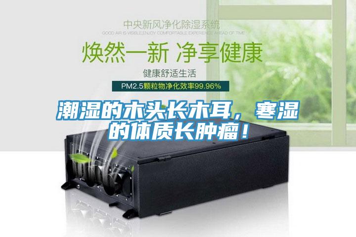 潮濕的木頭長木耳，寒濕的體質(zhì)長腫瘤！