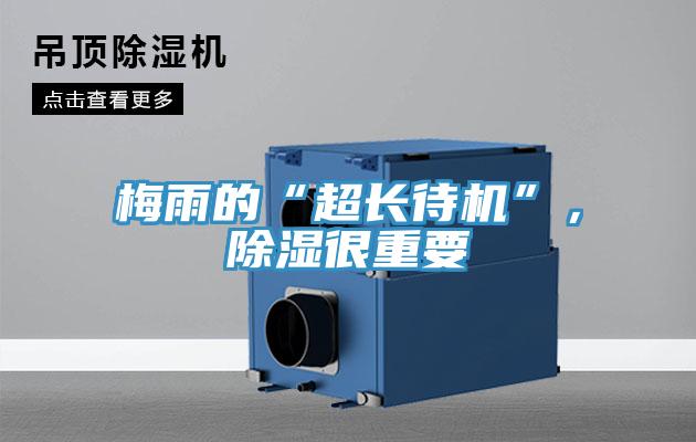 梅雨的“超長待機(jī)”，除濕很重要