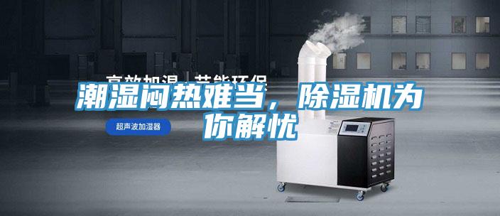 潮濕悶熱難當(dāng)，除濕機為你解憂