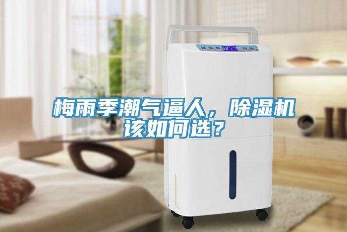 梅雨季潮氣逼人，除濕機(jī)該如何選？