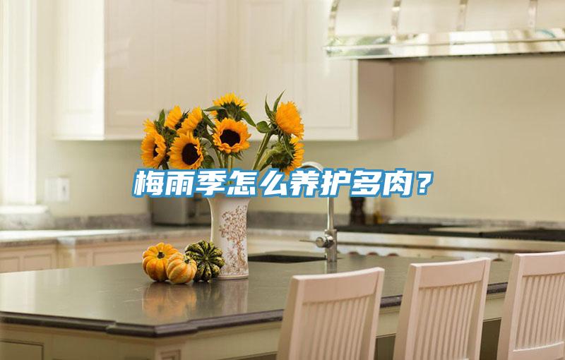 梅雨季怎么養(yǎng)護(hù)多肉？