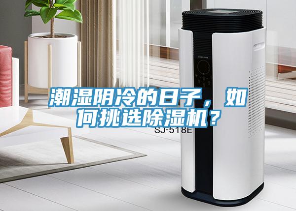 潮濕陰冷的日子，如何挑選除濕機？
