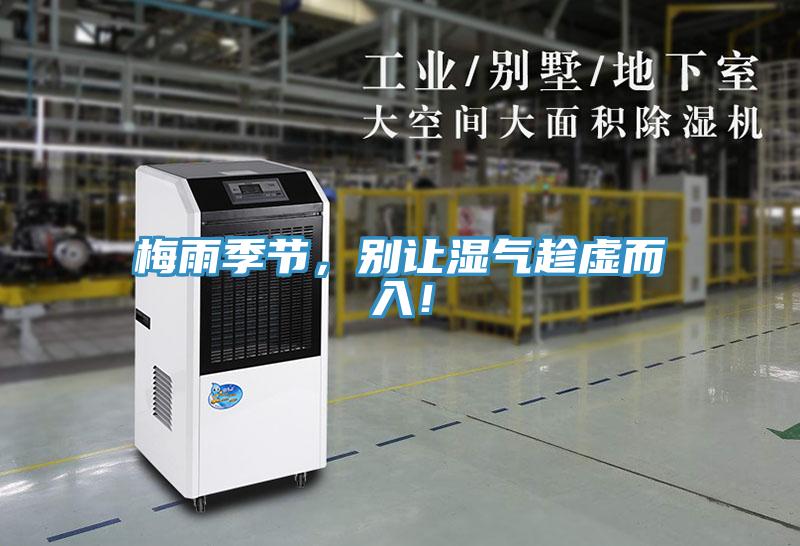 梅雨季節(jié)，別讓濕氣趁虛而入！