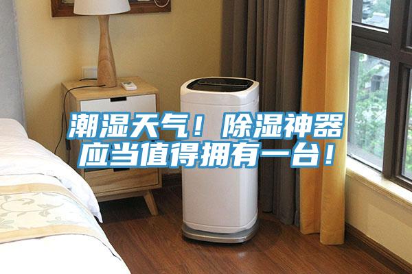 潮濕天氣！除濕神器應(yīng)當(dāng)值得擁有一臺！