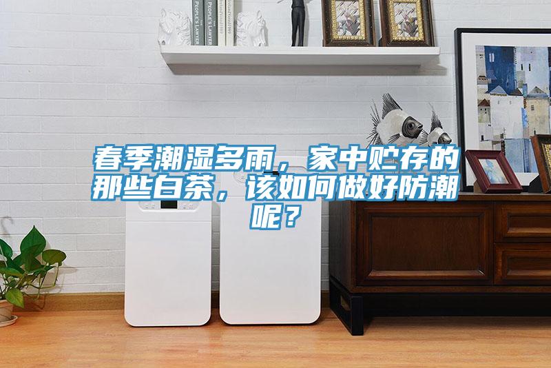 春季潮濕多雨，家中貯存的那些白茶，該如何做好防潮呢？