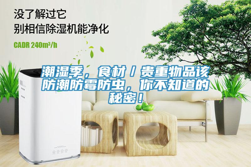 潮濕季，食材／貴重物品該防潮防霉防蟲，你不知道的秘密！