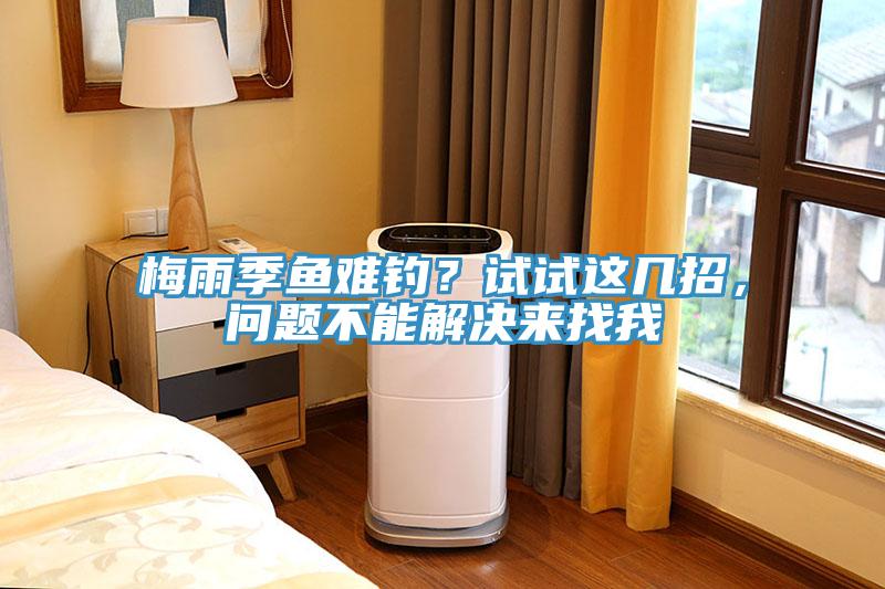 梅雨季魚難釣？試試這幾招，問(wèn)題不能解決來(lái)找我