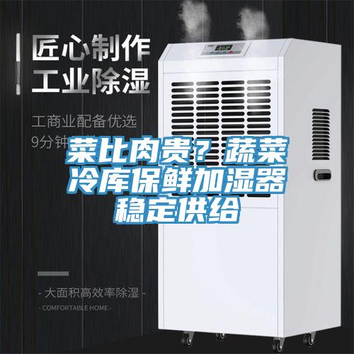 菜比肉貴？蔬菜冷庫保鮮加濕器穩(wěn)定供給