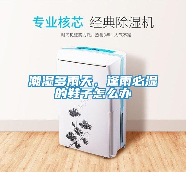 潮濕多雨天，逢雨必濕的鞋子怎么辦