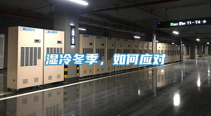 濕冷冬季，如何應(yīng)對(duì)