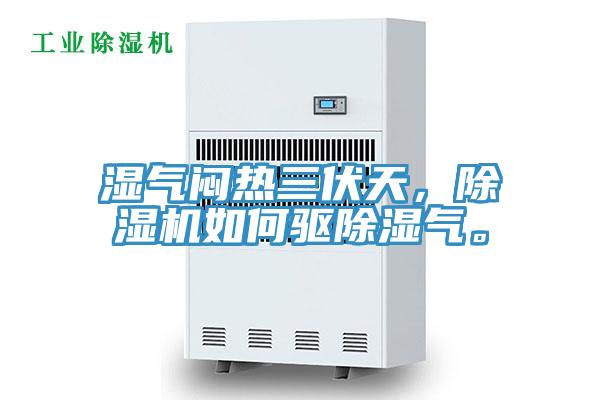 濕氣悶熱三伏天，除濕機(jī)如何驅(qū)除濕氣。