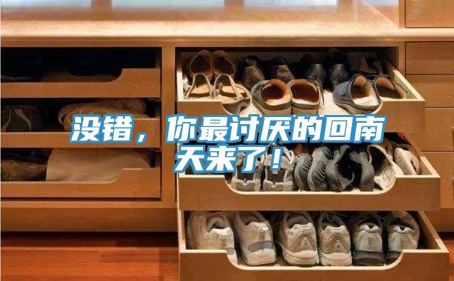 沒錯，你最討厭的回南天來了！