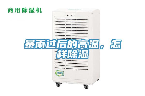暴雨過后的高溫，怎樣除濕