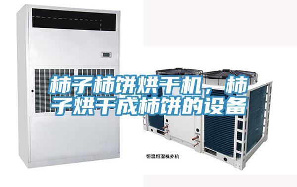 柿子柿餅烘干機，柿子烘干成柿餅的設備