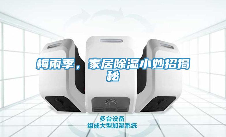 梅雨季，家居除濕小妙招揭秘