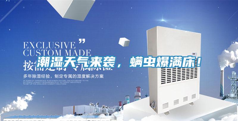 潮濕天氣來襲，螨蟲爆滿床！