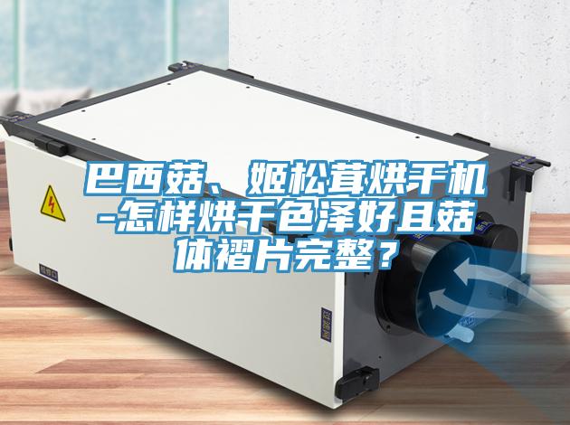 巴西菇、姬松茸烘干機(jī)-怎樣烘干色澤好且菇體褶片完整？