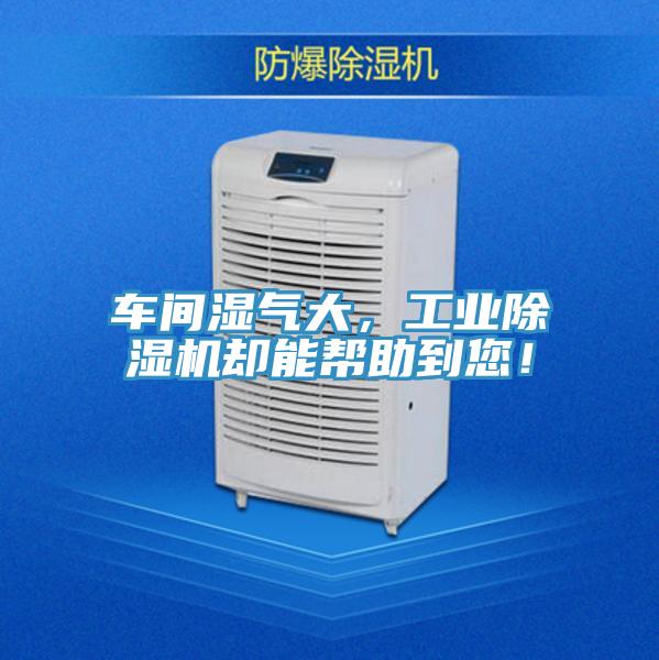 車間濕氣大，工業(yè)除濕機卻能幫助到您！