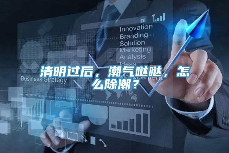 清明過后，潮氣噠噠，怎么除潮？