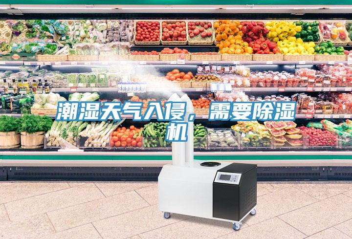 潮濕天氣入侵，需要除濕機
