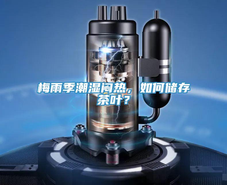 梅雨季潮濕悶熱，如何儲(chǔ)存茶葉？