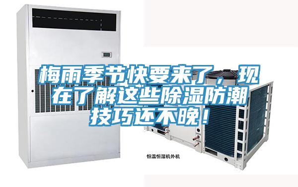 梅雨季節(jié)快要來(lái)了，現(xiàn)在了解這些除濕防潮技巧還不晚！