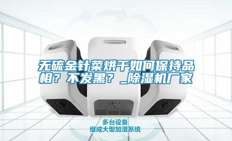 無(wú)硫金針菜烘干如何保持品相？不發(fā)黑？_除濕機(jī)廠家