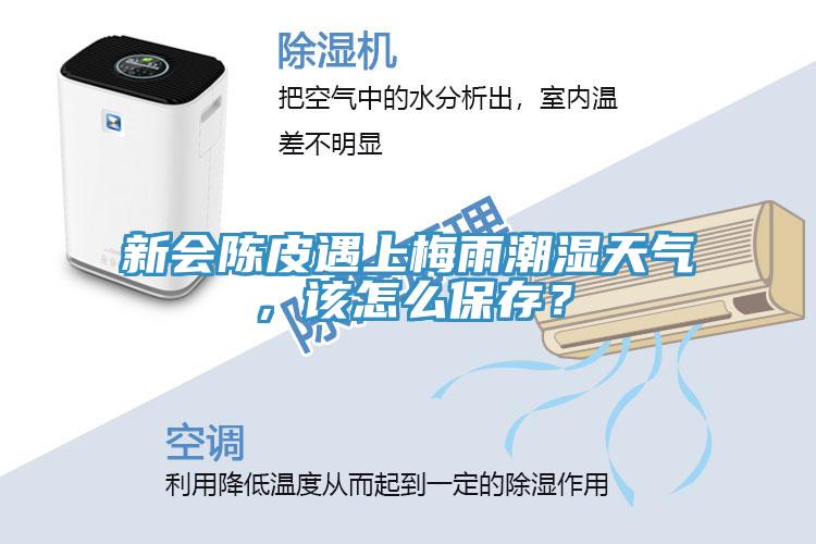 新會(huì)陳皮遇上梅雨潮濕天氣，該怎么保存？