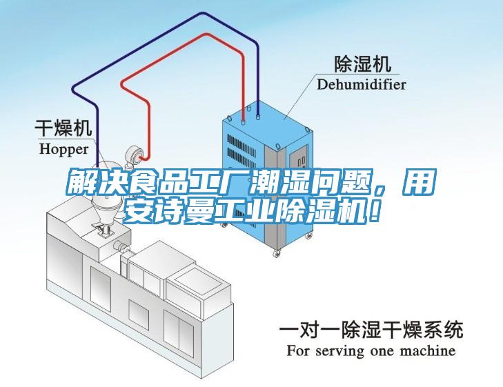 解決食品工廠潮濕問題，用安詩曼工業(yè)除濕機(jī)！