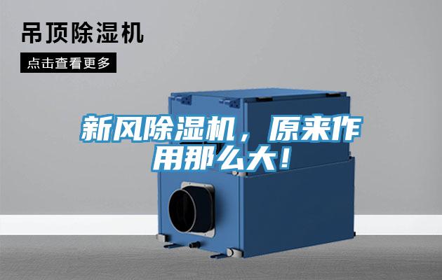 新風(fēng)除濕機(jī)，原來(lái)作用那么大！