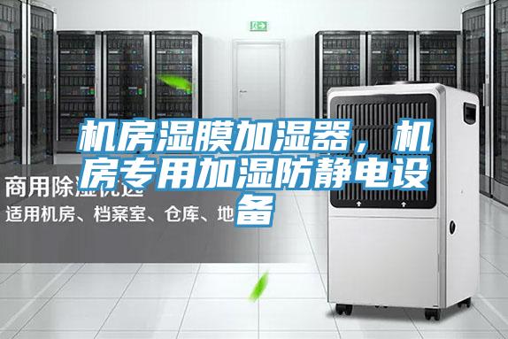 機房濕膜加濕器，機房專用加濕防靜電設備