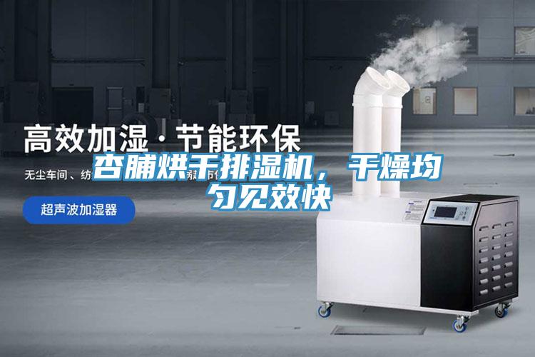 杏脯烘干排濕機(jī)，干燥均勻見效快