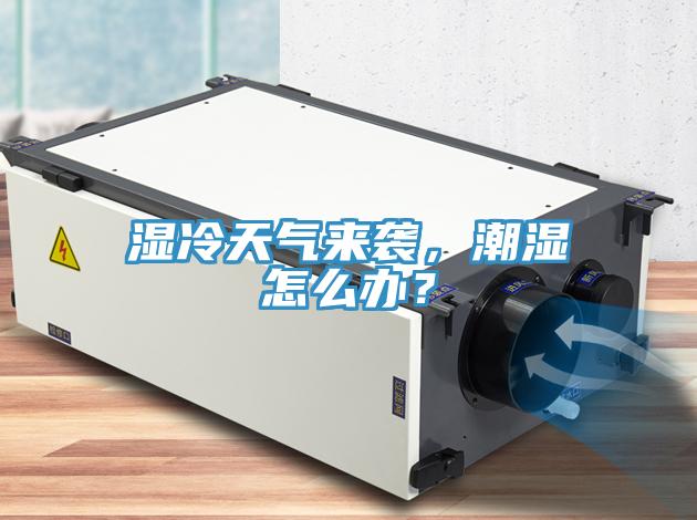 濕冷天氣來襲，潮濕怎么辦？