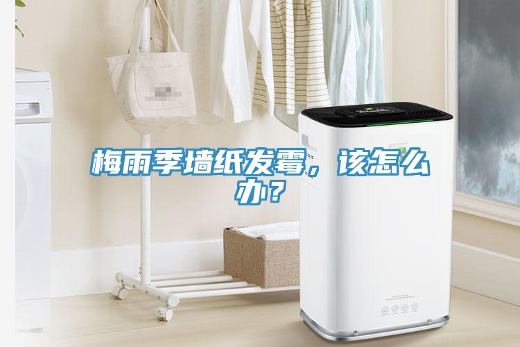 梅雨季墻紙發(fā)霉，該怎么辦？