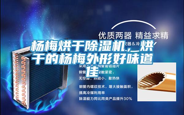 楊梅烘干除濕機，烘干的楊梅外形好味道佳