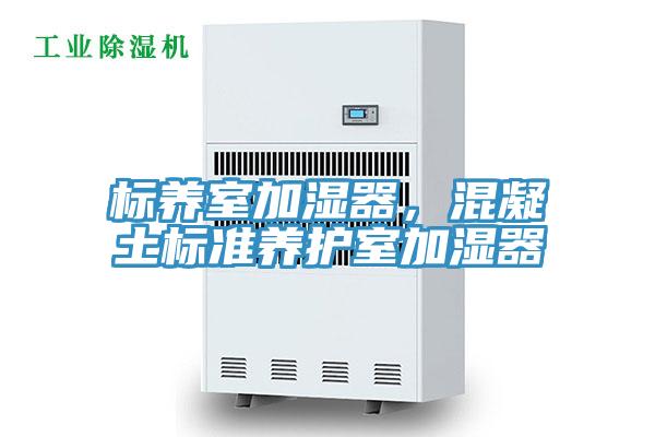 標(biāo)養(yǎng)室加濕器，混凝土標(biāo)準(zhǔn)養(yǎng)護室加濕器