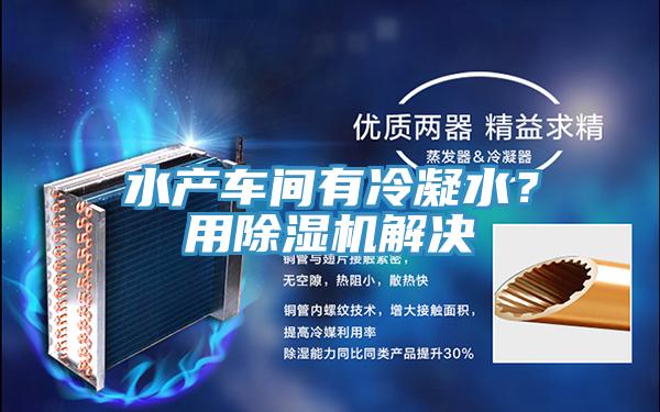 水產(chǎn)車間有冷凝水？用除濕機解決